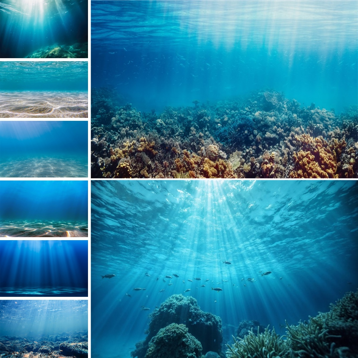 Blue Underwater World Backdrop - Photo Develop Tank ulasan dan harga